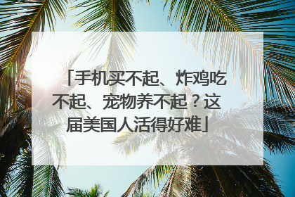 手机买不起、炸鸡吃不起、宠物养不起？这届美国人活得好难