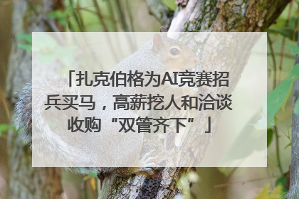 扎克伯格为AI竞赛招兵买马，高薪挖人和洽谈收购“双管齐下”