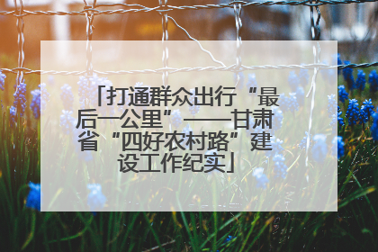 打通群众出行“最后一公里”——甘肃省“四好农村路”建设工作纪实