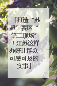 打造“苏超”赛区“第二现场”！江苏这样办好让群众可感可及的实事