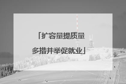 扩容量提质量 多措并举促就业