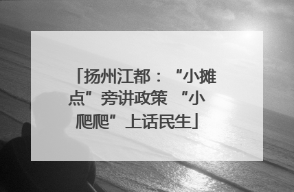 扬州江都：“小摊点”旁讲政策 “小爬爬”上话民生