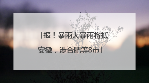 报！暴雨大暴雨将抵安徽，涉合肥等8市
