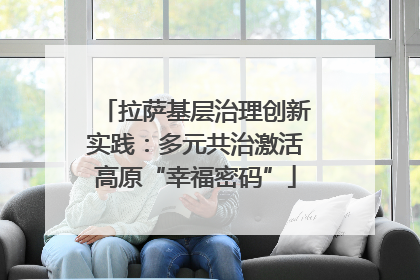 拉萨基层治理创新实践：多元共治激活高原“幸福密码”