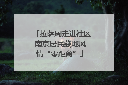 拉萨周走进社区 南京居民藏地风情“零距离”