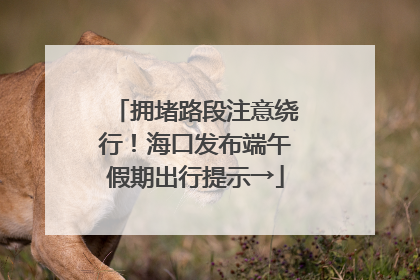 拥堵路段注意绕行！海口发布端午假期出行提示→