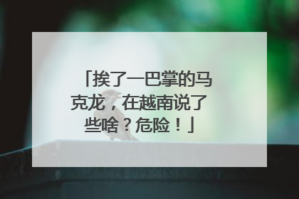 挨了一巴掌的马克龙，在越南说了些啥？危险！