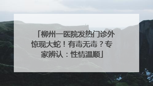 柳州一医院发热门诊外惊现大蛇！有毒无毒？专家辨认：性情温顺