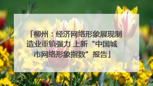 柳州：经济网络形象展现制造业重镇强力 上新“中国城市网络形象指数”报告