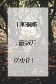 李丽娜，履新万亿央企