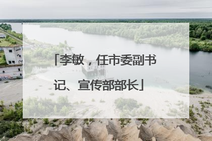 李敏，任市委副书记、宣传部部长