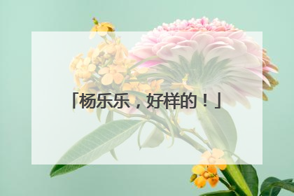 杨乐乐，好样的！