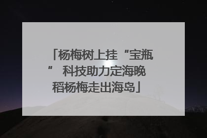 杨梅树上挂“宝瓶” 科技助力定海晚稻杨梅走出海岛