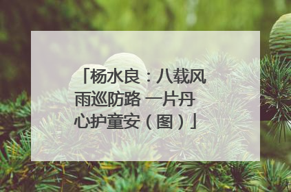 杨水良：八载风雨巡防路 一片丹心护童安（图）
