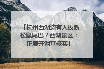 杭州西湖边有人拔断松鼠尾巴？西湖景区：正展开调查核实