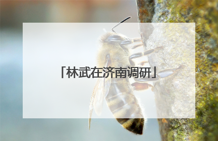 林武在济南调研