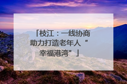 枝江：一线协商助力打造老年人“幸福港湾”