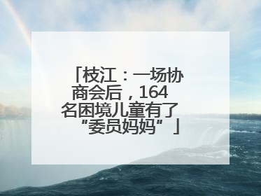 枝江：一场协商会后，164名困境儿童有了“委员妈妈”