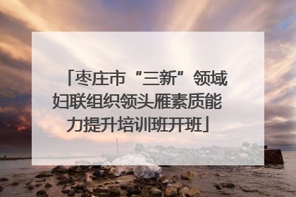 枣庄市“三新”领域妇联组织领头雁素质能力提升培训班开班