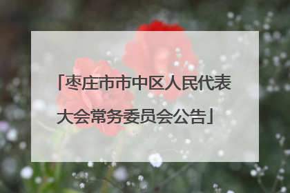枣庄市市中区人民代表大会常务委员会公告