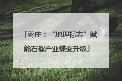 枣庄：“地理标志”赋能石榴产业蝶变升级