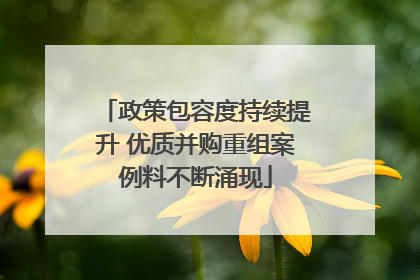 政策包容度持续提升 优质并购重组案例料不断涌现