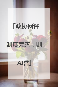 政协网评｜制度完善，则AI善