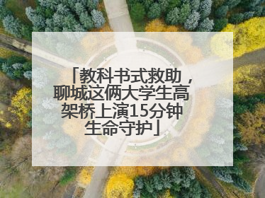 教科书式救助，聊城这俩大学生高架桥上演15分钟生命守护