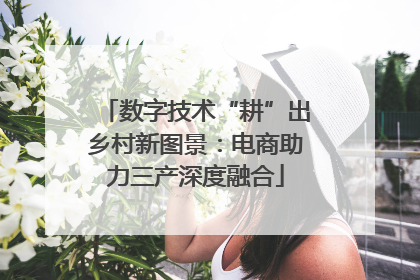 数字技术“耕”出乡村新图景：电商助力三产深度融合