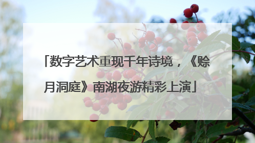 数字艺术重现千年诗境，《赊月洞庭》南湖夜游精彩上演