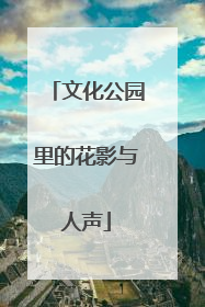 文化公园里的花影与人声