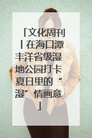 文化周刊丨在海口潭丰洋省级湿地公园打卡夏日里的“湿”情画意