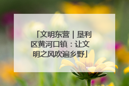 文明东营｜垦利区黄河口镇：让文明之风吹遍乡野