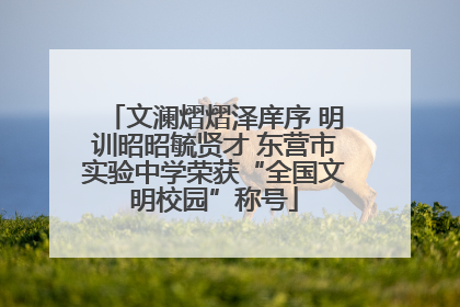 文澜熠熠泽庠序 明训昭昭毓贤才 东营市实验中学荣获“全国文明校园”称号