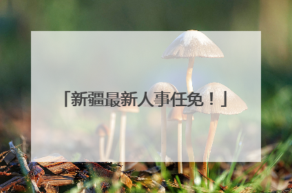 新疆最新人事任免！