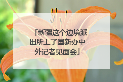 新疆这个边境派出所上了国新办中外记者见面会