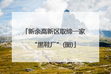 新余高新区取缔一家“黑鞋厂”(图)