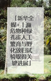 新华全媒+丨濒危物种绿孔雀人工繁育与野化放归试验取得关键进展