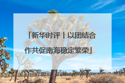 新华时评丨以团结合作共促南海稳定繁荣