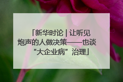新华时论 | 让听见炮声的人做决策——也谈“大企业病”治理