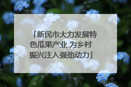 新民市大力发展特色瓜果产业 为乡村振兴注入强劲动力