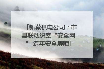新蔡供电公司：市县联动织密“安全网” 筑牢安全屏障