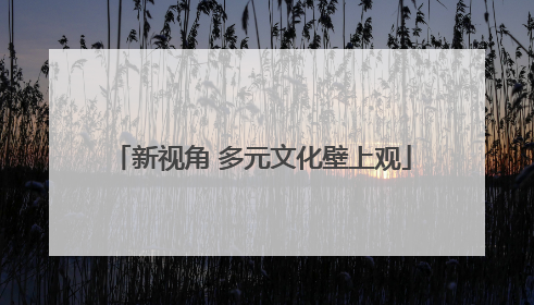 新视角 多元文化壁上观