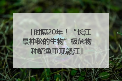 时隔20年！“长江最神秘的生物”极危物种鳤鱼重现赣江