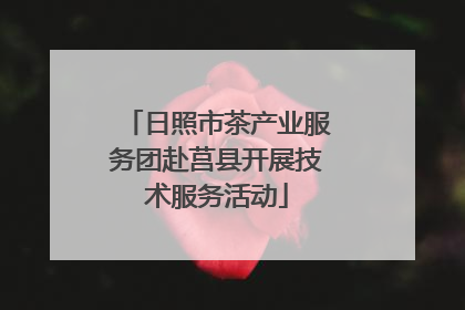 日照市茶产业服务团赴莒县开展技术服务活动