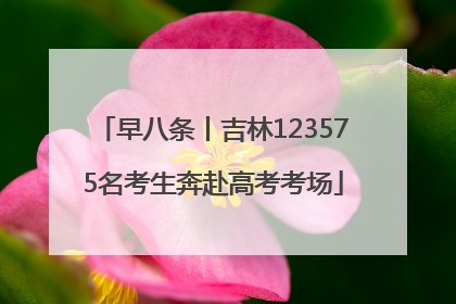 早八条丨吉林123575名考生奔赴高考考场