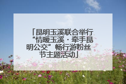 昆明玉溪联合举行“情暖玉溪・牵手昆明公交”畅行游粉丝节主题活动
