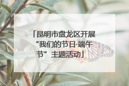 昆明市盘龙区开展“我们的节日·端午节”主题活动
