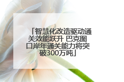 智慧化改造驱动通关效能跃升 巴克图口岸年通关能力将突破300万吨