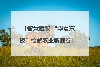 智慧赋能 “华夏东极”绘就农业新画卷